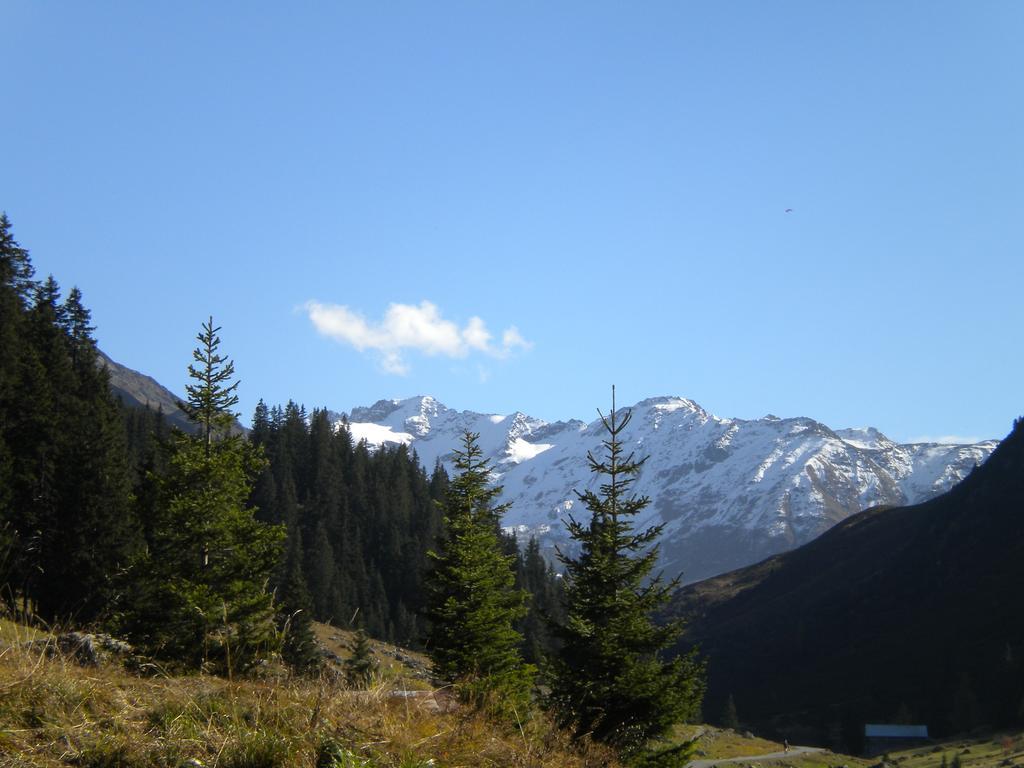 Shima-davos बिस्तर और नाश्ता
