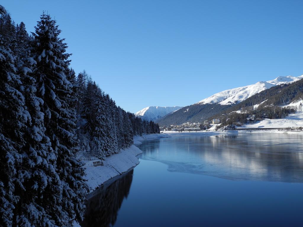 Shima-davos Davos