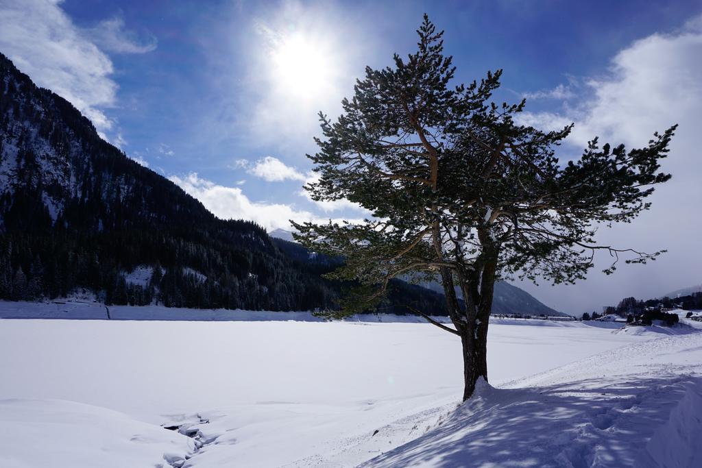 Shima-davos 3* Davos