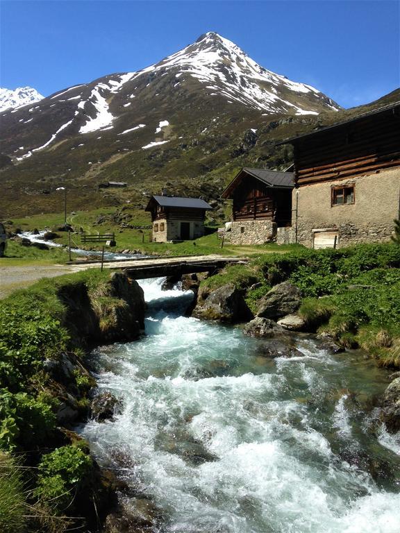 Shima-davos 3*