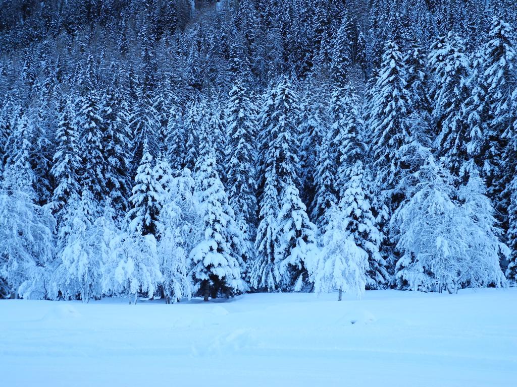 Shima-davos Bed & Breakfast 3*