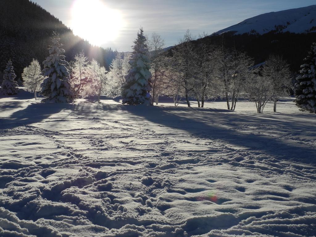 Bed & Breakfast Shima-davos 3*