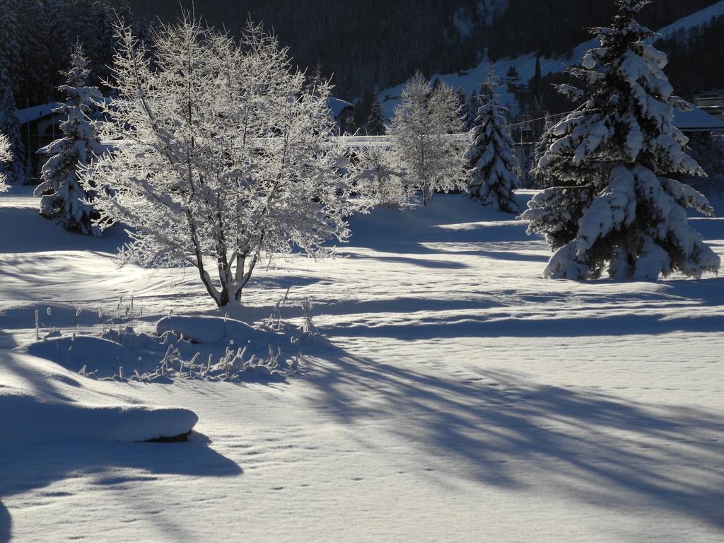 Bed & Breakfast Shima-davos Davos